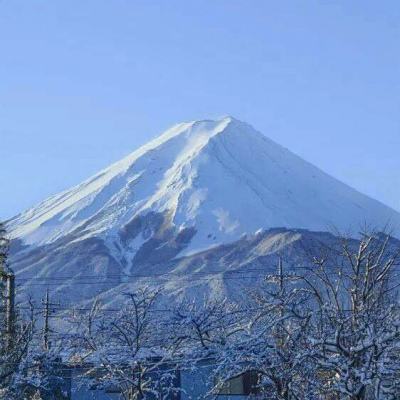 群侠令内购破解版下载